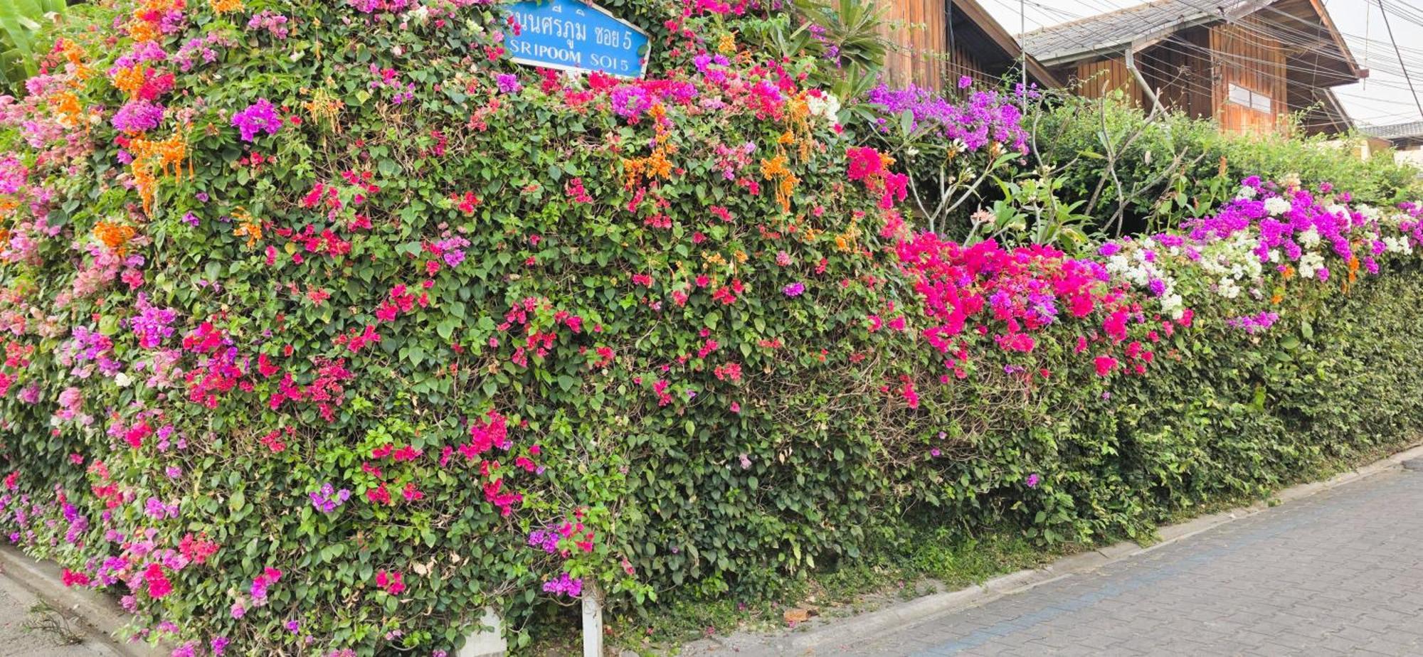 Siriwan Hostel Чиангмай Экстерьер фото